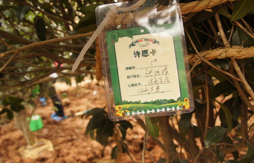 201331283239925.jpg